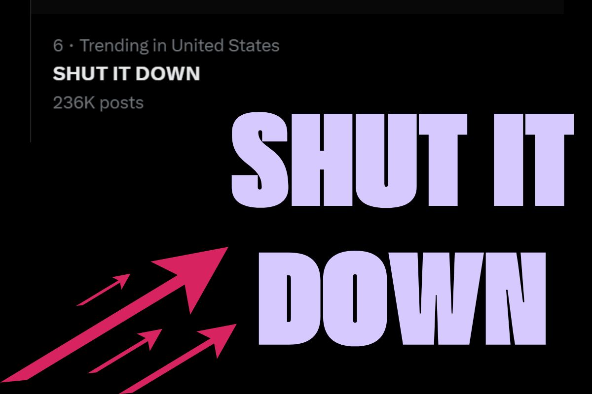 SHUT IT DOWN